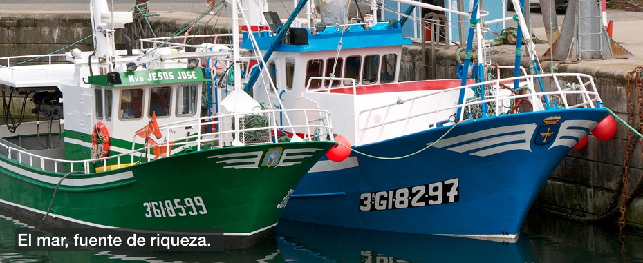 Barcos